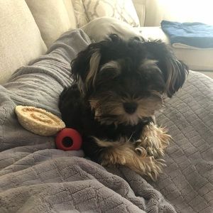 Meet your Posher, Melissa